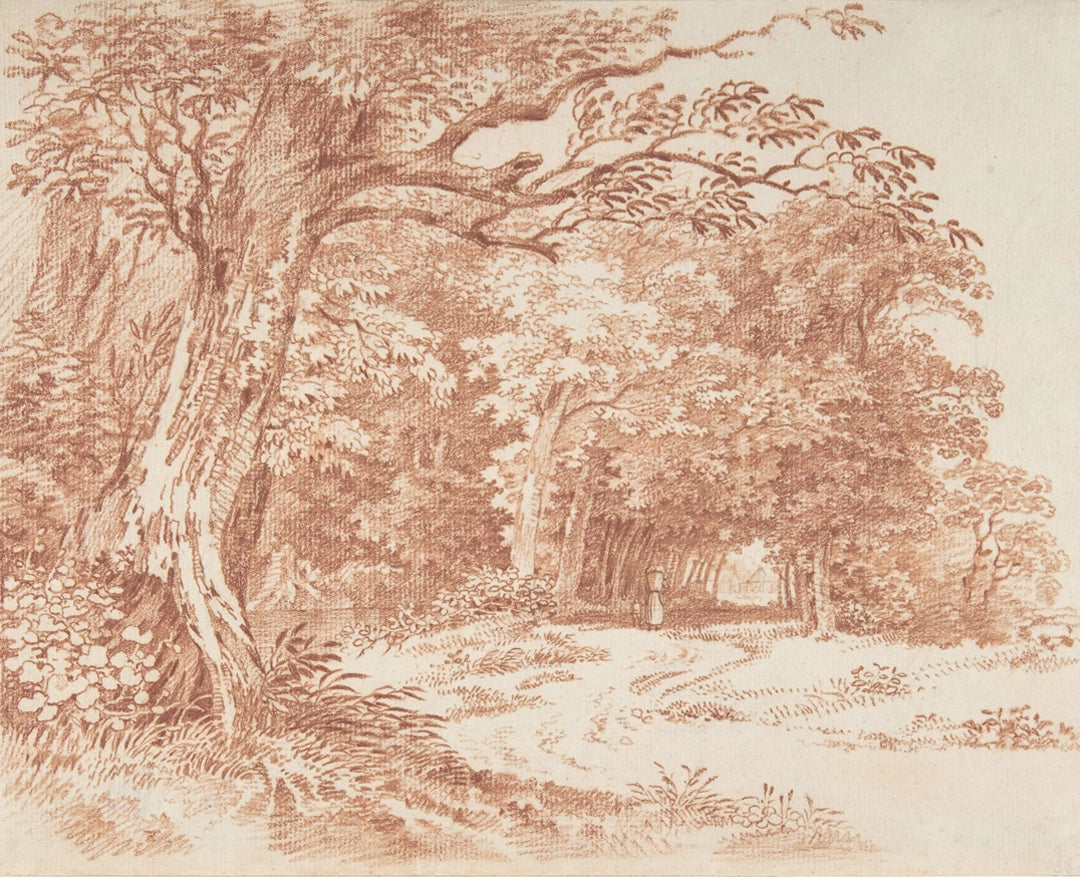 Wooded Landscape