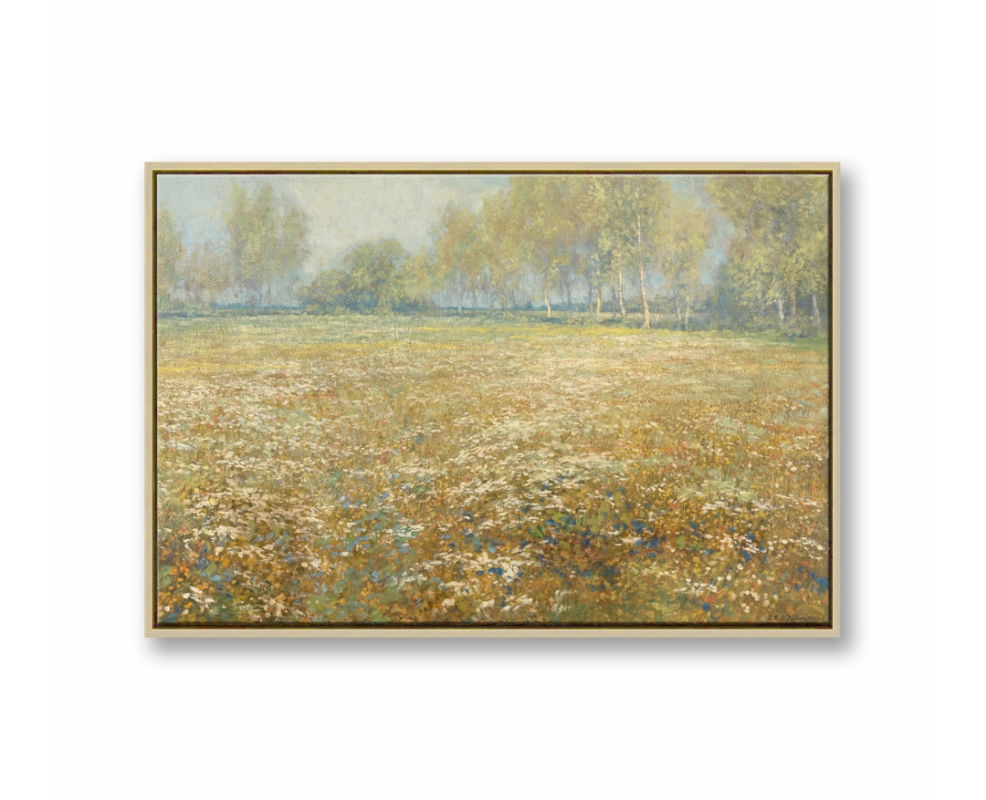 Meadow in Bloom