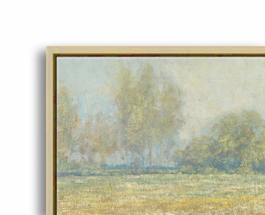 Meadow in Bloom