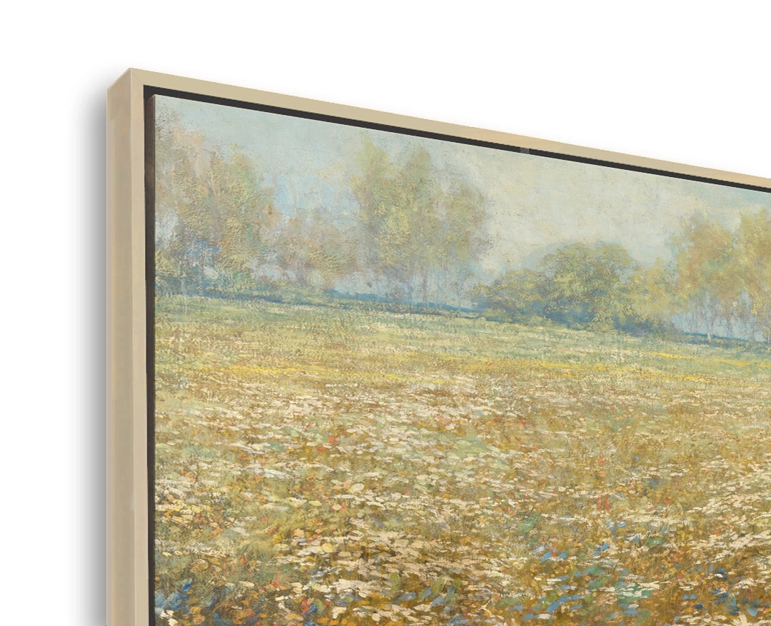 Meadow in Bloom