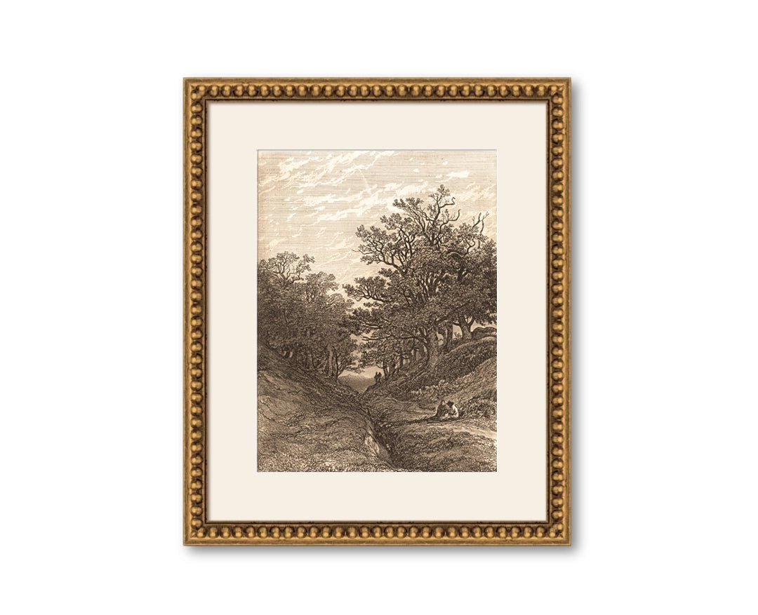 Chemin Creux