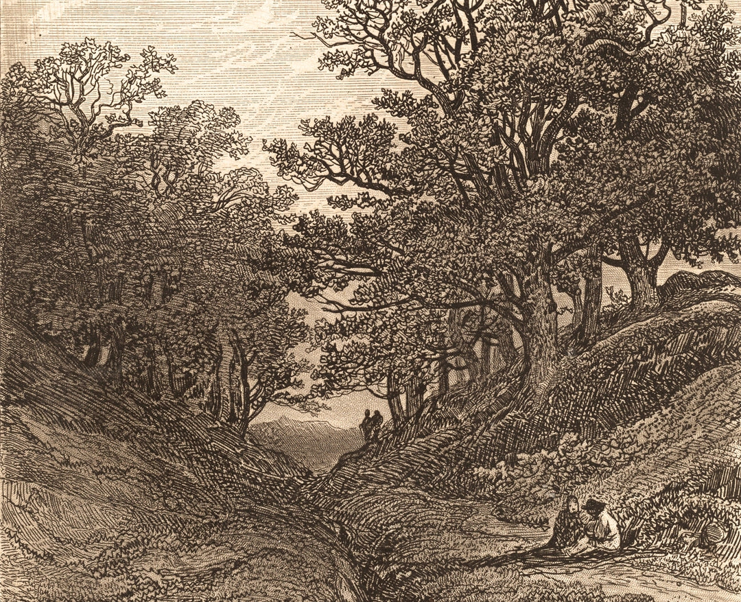 Chemin Creux