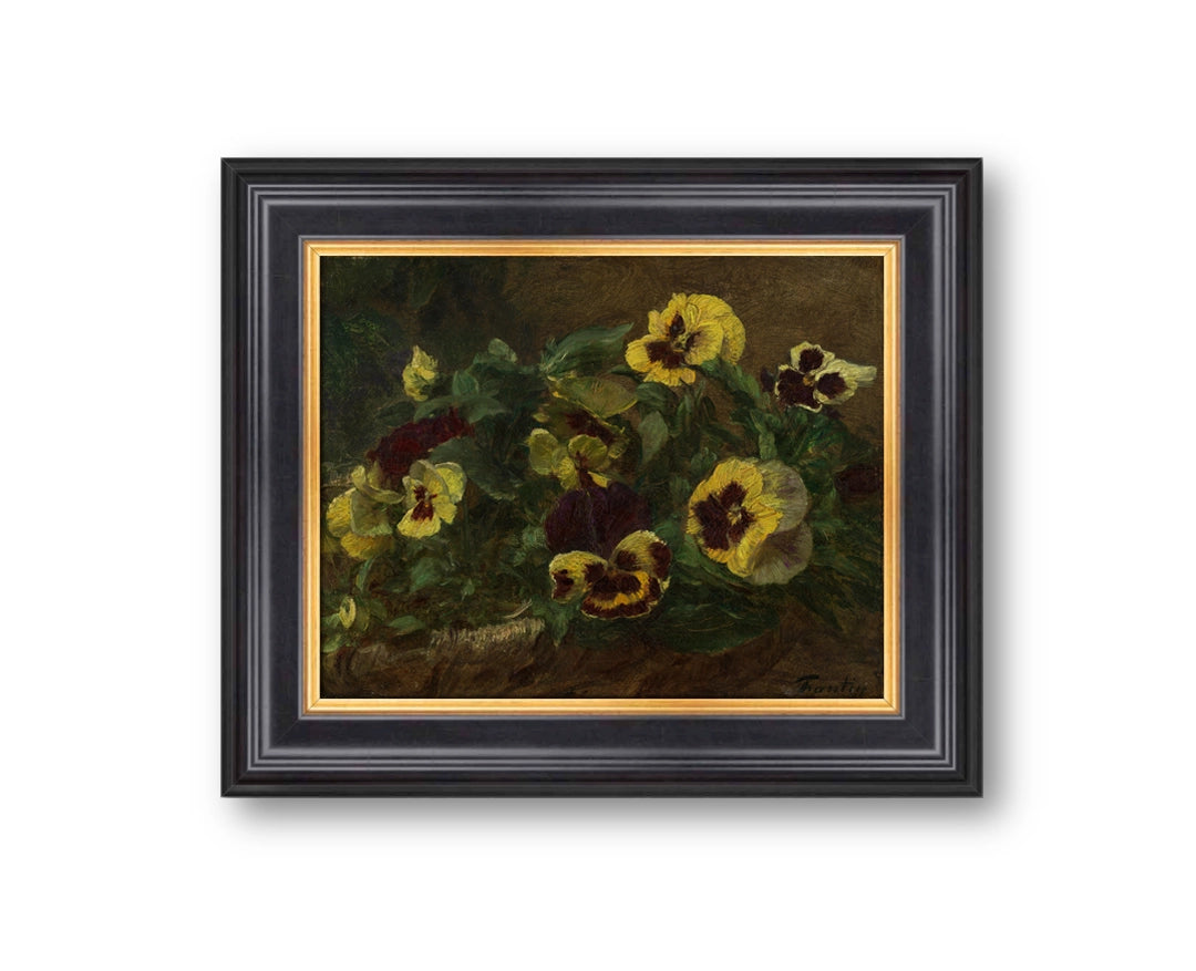 Pansies