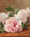 Peonies