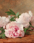 Peonies