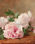 Peonies