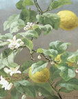 Artivare Fine Art Print of a painting of a lemon tree with lemons and flowers on a gray background