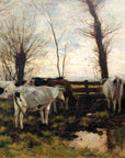 Kühe auf der Weide (Cows on Pasture)