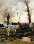 Kühe auf der Weide (Cows on Pasture)