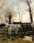Kühe auf der Weide (Cows on Pasture)