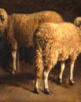 Study of Two Sheep