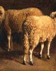 Study of Two Sheep