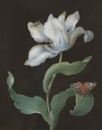 A tulip, a butterfly of the species Arctia caja (garden tiger moth), and a beetle (possibly a longhorn)