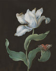 A tulip, a butterfly of the species Arctia caja (garden tiger moth), and a beetle (possibly a longhorn)