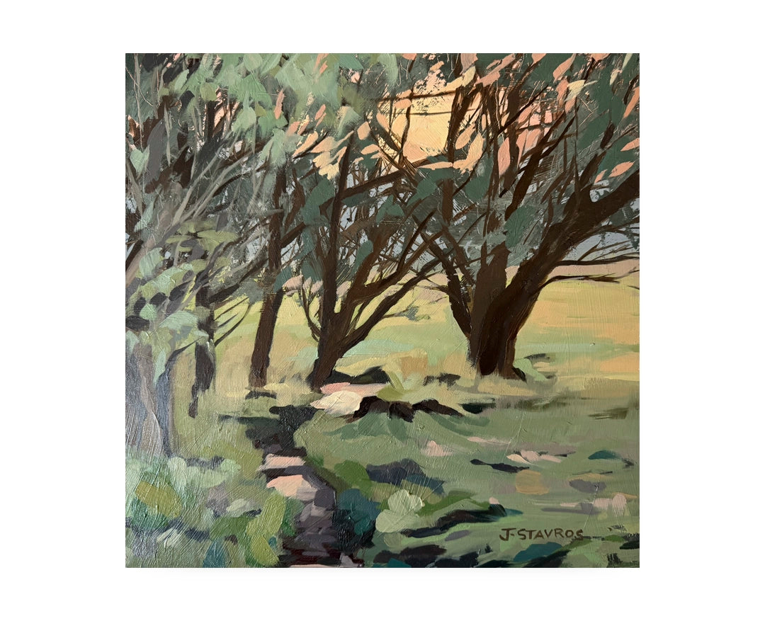 Blushing Light  — 12"x 12"