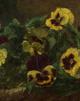 Pansies