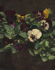 Artivare Fine Art Print of a still life painting of potted pansies with a dark background
