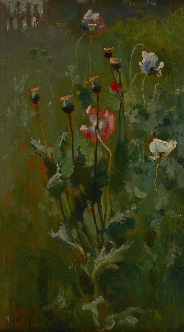 Artivare Fine Art Print of an oil painting of poppies and their seed heads in a field with a dark background