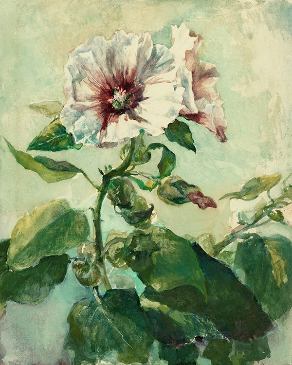 Artivare Fine Art Print  of an artistic depiction of a white hollyhock with green leaves on a light background