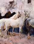 Horses at Palma