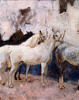 Horses at Palma
