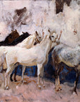Horses at Palma