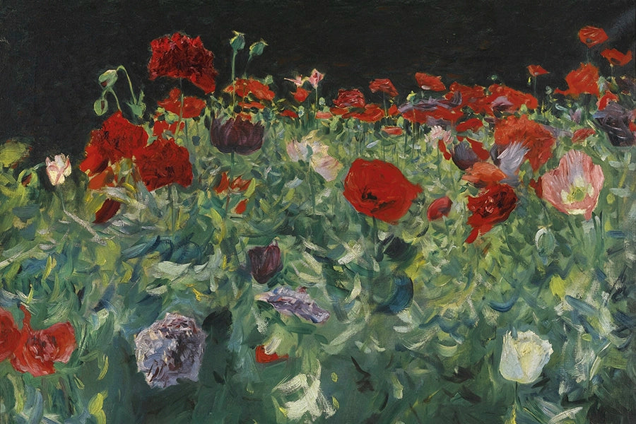 Artivare Fine Art Print of a painting of a field of red poppies with a dark background