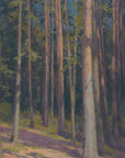 Fir Forest