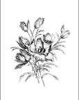 Artivare Fine Art Print of a black and white line drawing of a floral bouquet of tulips on a white background