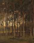 View in the Woods
