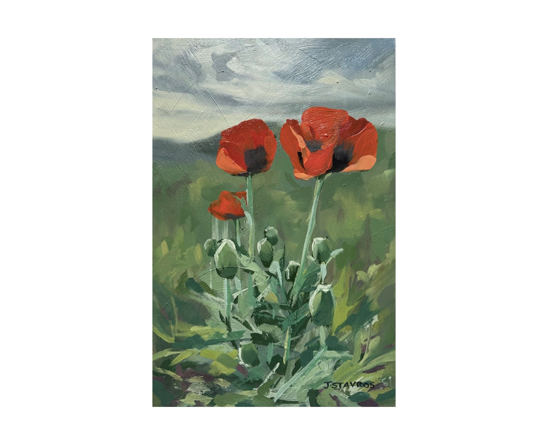 Three Poppies  — 8"x 12"