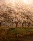 Apple Blossoms