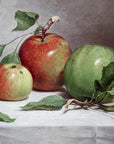 Still Life Study of Apples