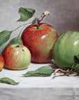 Still Life Study of Apples