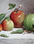 Still Life Study of Apples